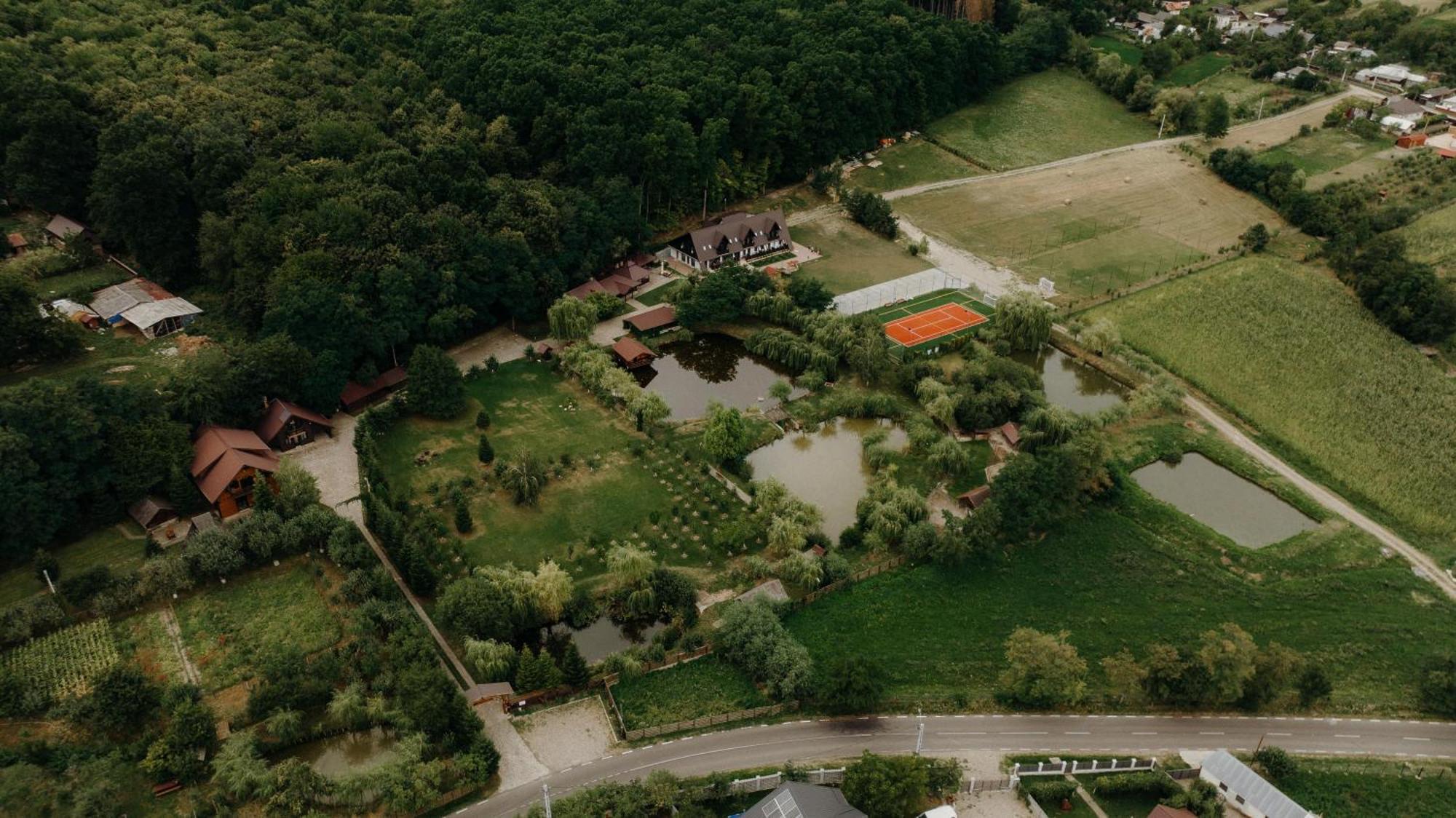 Pensiunea Paradisul Verde Oglinzi Экстерьер фото